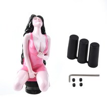 특이한 기어 노브 봉 커버 교체 전차종 수동 오토, 미녀