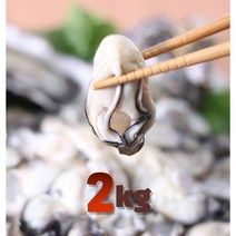 슬기로운 구매생활!~ (보관용으로 얼리기 최적기) 통영생굴 횟감용 1kg. 2kg. 3kg, 1박스, 2kg
