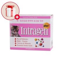강아지 고양이 영양제 장염 설사 장 면역력 피모 인트라젠 종합영양제 30포(60g), 단품, 단품