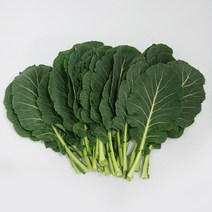 케일 250g 국내산 쌈채소 특수야채, 1개