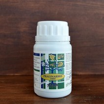 바이오포스트.프랑스 프랄린 뿌리 발근촉진제 100g, Coupang 본상품선택