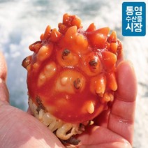 [KT알파쇼핑][통영수산물시장] 남해안 깐멍게 500g