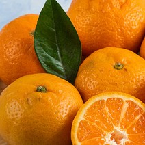 영화농산 영화청과 특급 제주도귤 2kg 청 만들기 하우스 노지, 노란색, 상세 페이지 별도표기