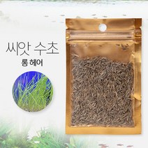 수초 씨앗 4종 미니바코바 바코바 미니헤어 롱헤어 8g