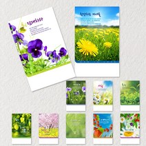 꿈마을예닮 주보 교회주보 주보도안 예쁜주보 팬시 기성주보 예배순서지 청년부 디자인주보 인쇄 제작 헌금봉투 10종 봄주보 추천, 3세트