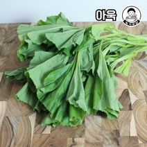 당일작업 국내산 아욱, 1kg, 1개