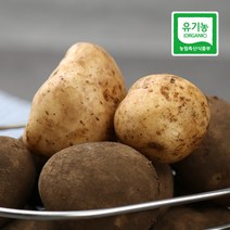 친환경 강원도 감자 중품 2kg, 단품