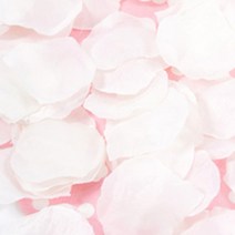 더리얼스 OPP 포장 5cm 인조 조화 꽃잎 꽃가루 화동 화이트 150장 플라워 샤워 프로포즈