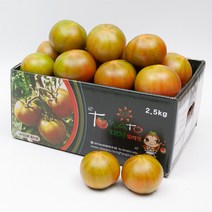 세상모든농부 고당도 부산 대저토마토 찰토마토, 대저토마토 2.5kg M