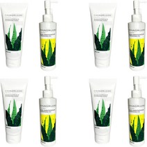 1+1+1+1 청미정 알로에 발효 클렌징 오일 청미정 클렌징 폼 샘플증정 2종, 1+1+1+1 클렌징 폼 + 클렌징 오일