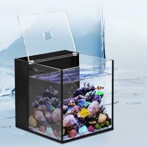 수족관 가정용 해수 어항 배면 섬프 물고기 소형 탱크