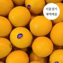 한정판매 새벽배송 당일배송 네이블 오렌지 1kg 3kg 프리미엄 초고당도 과일 수입산, 친환경 네이블 오렌지 1kg