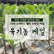 친환경 유기농 케일 쌈용 즙용 1kg, 1box, 안동 햇 부사 꼬마-소과 14kg(흠과)