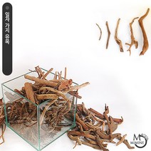 일자 잔가지유목 (중) 1개