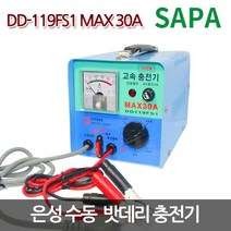은성 수동 배터리 충전기 DD-119FS1 ( 30A 12V 전용 200AH이하 ), 1개, 145.160.260mm