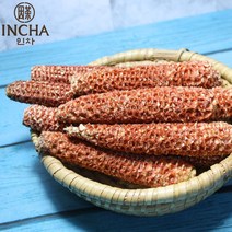 인차 국내산 옥수수 속대 500g, 1개
