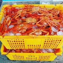 동해안 고급 연지홍게 다 쪄서 보내드리니 바로드셔도 돼용, 연지홍게 3kg(10미 내외)