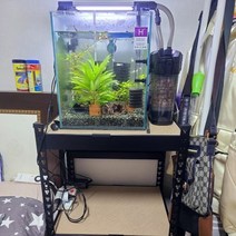 수조받침 어항선반 철제축양장 수족관선반 400 * 300 * 높이 750 * 2단/3단, 화이트