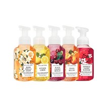 BBW 배쓰앤바디웍스 부드러운 포밍 핸드솝 핸드워시 5종 세트 프레쉬 앤 브라이트, 핸드워시 5종세트