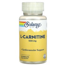 솔라레이 L-카르니틴 500mg 베지캡 30개 314369, 30 개