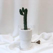 플라랜드 용신목 용심목 선인장 공기정화식물 테라조 투블럭 화분, 용신목 대-투블럭테라조(플라스틱기본받침), 기본서랍형(화이트)