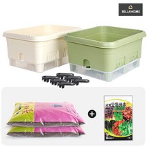 자동 급수식 텃밭 화분+배양토+상추씨(CN8333), 그린