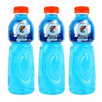 롯데칠성음료 게토레이 블루볼트 1.5L 24개 페트병