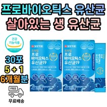 식약처인증 생유사균 6개월분 플란타룸 분말 가루 프로바이오틱스 PROBIOTICS 장 건강기능식품 1000억 CFU