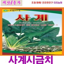 사계절 시금치 씨앗 20g