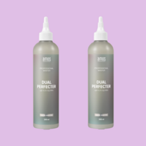 아모스 트리트먼트 300ml x2 살롱 마스터 듀얼퍼펙터 두피케어, 살롱마스터 듀얼퍼펙터 300ml x2