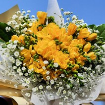 프리지아 생화 꽃 다발 야곱의정원 택배 배송 후리지아 프레지아 후레지아 배달 꽃정기구독 졸업식 선물, 두단추가