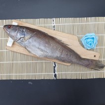 선우수산 반건조생선 국내산 제수용 민어 500g, 1마리