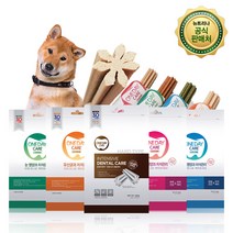 원데이케어 뉴트리션바 30P 강아지 덴탈껌, 건강한 피부, 30개입