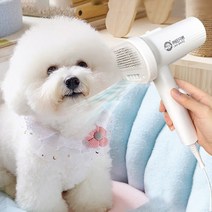 펫드라이기 애견드라이기 대형견 2-in-1 개 헤어 드라이어 속도 온도 고양이 손질 빗 브러시 저소음 애완 동물