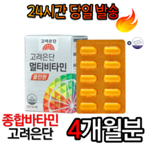 고려은단 멀티비타민 올인원 1560mg x 60정 비타민E 비타민D 비타민E 향산화 에너지 면역력 미네랄 피로개선 칼슘 마그네슘 비타민효능 추천 가족건강 알약케이스 증정, 4개월분=특가[할인]