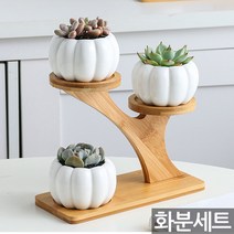 다육이 화분 3종 + 받침대 - 미니 다육이화분 선인장 세라믹 식물 받침 실내화분 사무실 거실 예쁜화분 도자기, 04_Sein_호박세라믹화분세트