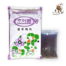 한아름 블루베리 10L 원예 텃밭 분갈이, 10리터 1개