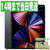 iPad Pro 5세대 Wi-Fi+Cellular 2TB 12.9 인치 스페이스 그레이 [신품 미개봉]