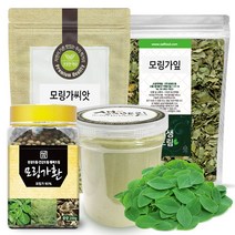 생생드림 모링가 잎 씨앗 분말 환 드럼스틱, 모링가잎 300g