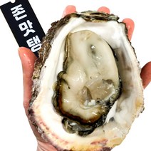 통영 삼배체굴 1kg 2kg 4kg 사계절 제철 대왕굴 석화, 통영 삼배체 대왕굴(껍질채) 4kg, 1개