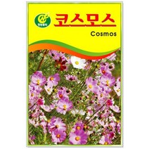 청농 코스모스 꽃씨앗 100g, 1개