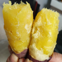 베니하루카 꿀고구마 세척고구마 못난이 튀김용 한입3kg 5kg 10kg, 1박스, 꿀밤고구마 10kg 긴상/긴특