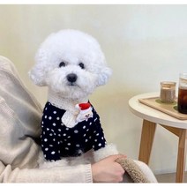 댕하냥 강아지 땡땡이 포인트 니트가디건 크리스마스 특이한 강아지옷, 그레이