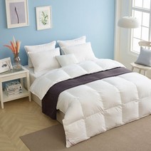 프라우덴 헝가리 구스베개솜700g/스트라이프베개커버세트