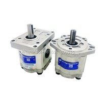 작은 CBW-F310/F314/F316/F320 오일 펌프 공압 유압 기어, 01 CBW-F304-ALP