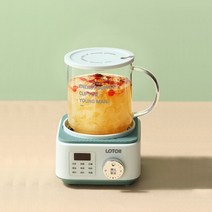 약탕기 가정용 업소용 한약 도자기 중탕기 대용량 홍삼 달임기 전기 탕약기 스마트 건강 전기 주전자 500ml, 01 green_02 UK