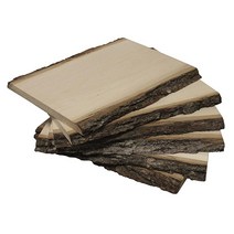 Walnut Hollow 밸류 팩 미디엄 참피나무 컨트리 판자 우드버닝 홈 데코 및 소박한 결혼식용 라이브 엣지 껍질 6팩, Medium (6 Pack)