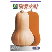 다농 땅콩호박씨앗 호박씨앗 10p, 2개