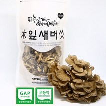 바로세움 잎새버섯 건조 100g 200g (천기누설 6시 내고향 생생정보 촬영지)무농약 GAP인증 [강원도 양양특산물], 1
