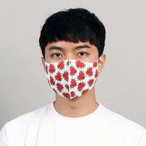 가인시스템 3D 빅사이즈 13종 중 택1 특대형 초대형 큰마스크 비말차단마스크